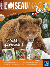 Couverture de l'OISEAU MAG JUNIOR n°21